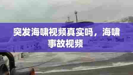 虫言鸟迹 第5页