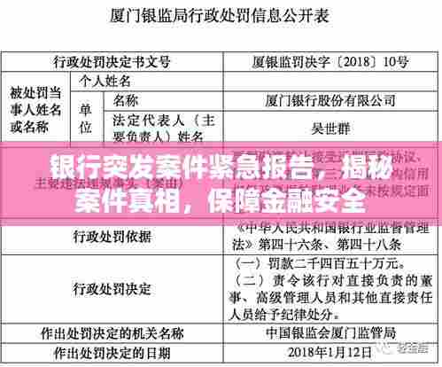 银行突发案件紧急报告，揭秘案件真相，保障金融安全