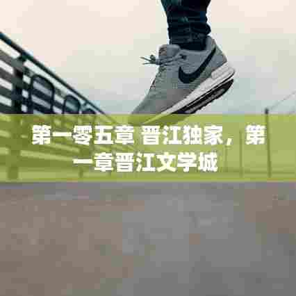 第一零五章 晋江独家,第一章晋江文学城