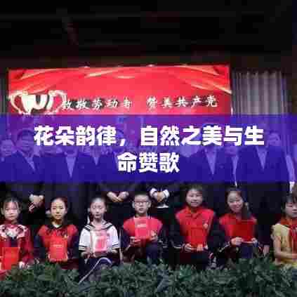 花朵韵律,自然之美与生命赞歌