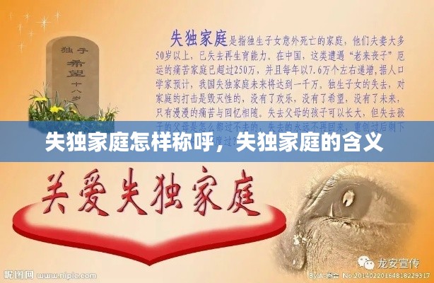 失独家庭怎样称呼,失独家庭的含义