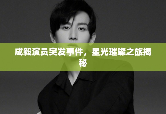 成毅演员突发事件，星光璀璨之旅揭秘