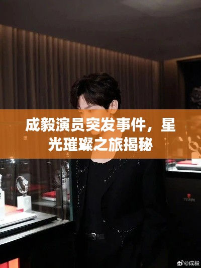 成毅演员突发事件,星光璀璨之旅揭秘