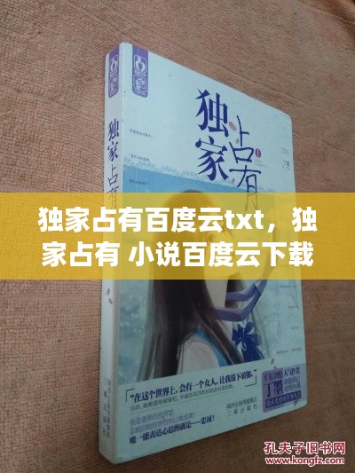 独家占有百度云txt,独家占有 小说百度云下载