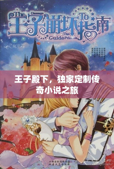 王子殿下，独家定制传奇小说之旅