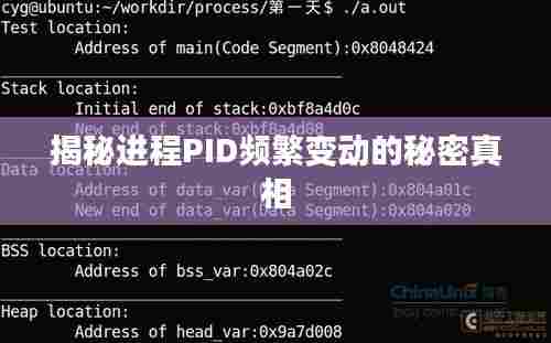 揭秘进程PID频繁变动的秘密真相