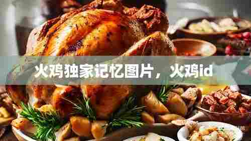 火鸡独家记忆图片，火鸡id 