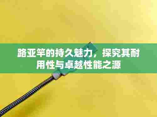 路亚竿的持久魅力，探究其耐用性与卓越性能之源