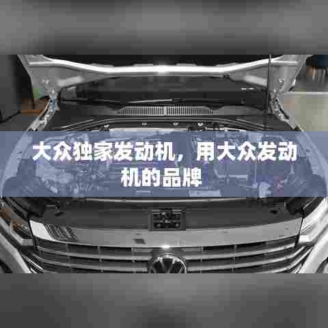 大众独家发动机,用大众发动机的品牌