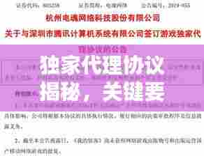 独家代理协议揭秘，关键要点一览无余