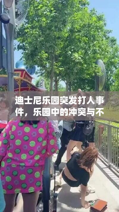 迪士尼乐园突发打人事件，乐园中的冲突与不和谐一幕曝光