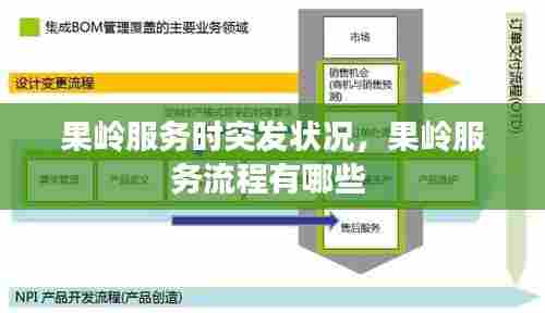 果岭服务时突发状况，果岭服务流程有哪些 