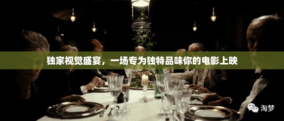 独家视觉盛宴，一场专为独特品味你的电影上映