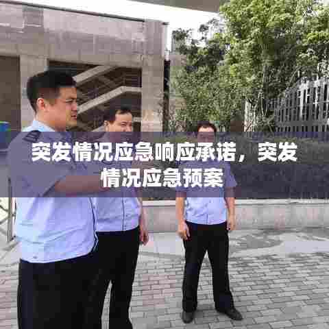 突发情况应急响应承诺，突发情况应急预案 