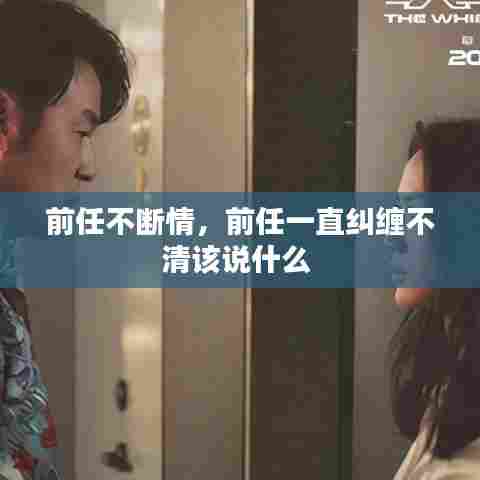前任不断情,前任一直纠缠不清该说什么