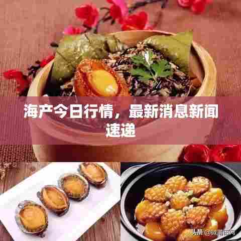 海产今日行情，最新消息新闻速递