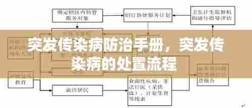 突发传染病防治手册,突发传染病的处置流程