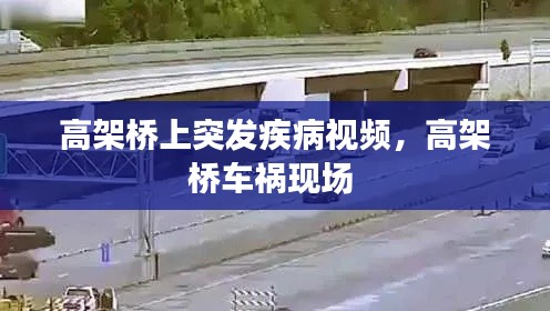 高架桥上突发疾病视频,高架桥车祸现场