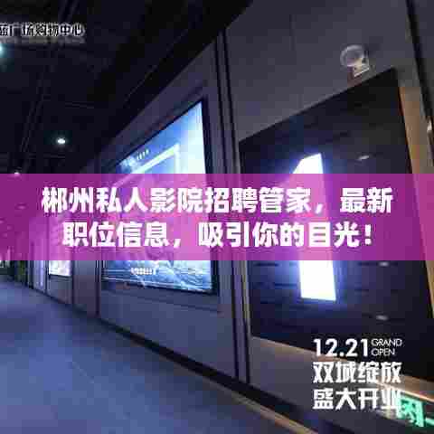 郴州私人影院招聘管家，最新职位信息，吸引你的目光！