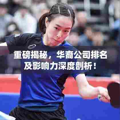 重磅揭秘,华裔公司排名及影响力深度剖析!