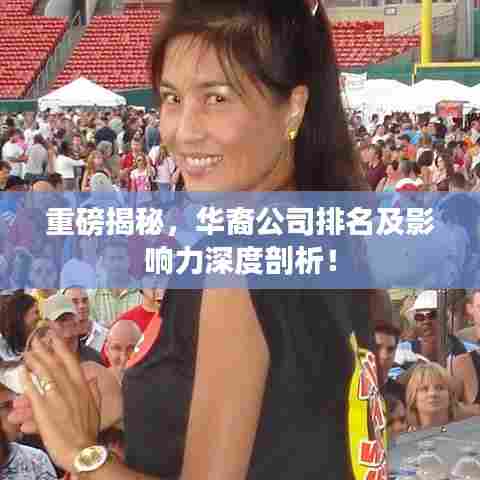 重磅揭秘,华裔公司排名及影响力深度剖析!