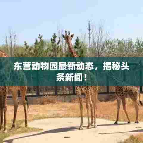 东营动物园最新动态,揭秘头条新闻!