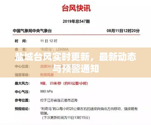 盐城台风实时更新,最新动态与预警通知