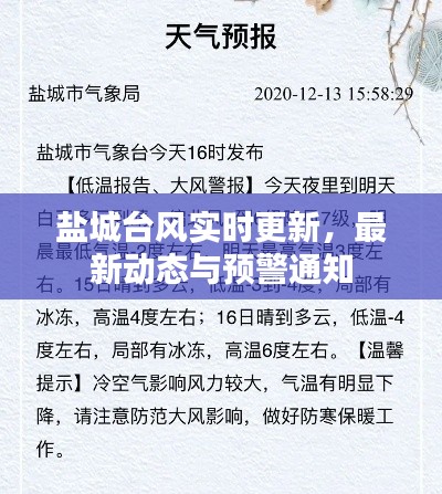 盐城台风实时更新,最新动态与预警通知