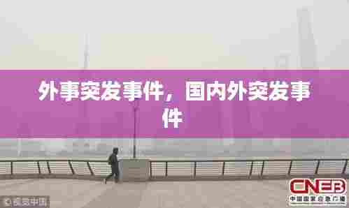 外事突发事件，国内外突发事件 