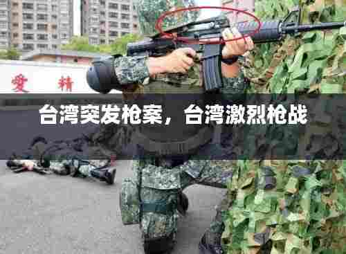 台湾突发枪案,台湾激烈枪战