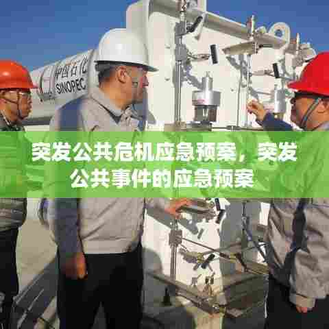 突发公共危机应急预案，突发公共事件的应急预案 