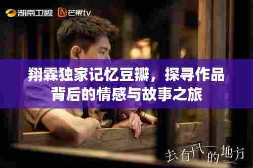翔霖独家记忆豆瓣,探寻作品背后的情感与故事之旅