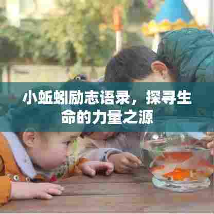 小蚯蚓励志语录，探寻生命的力量之源