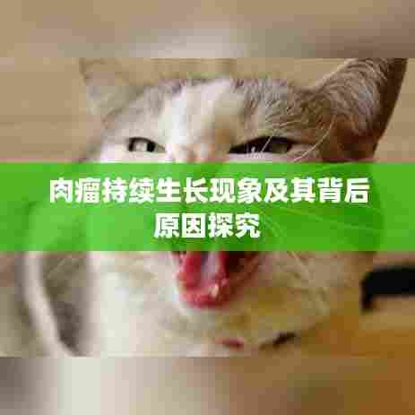 肉瘤持续生长现象及其背后原因探究