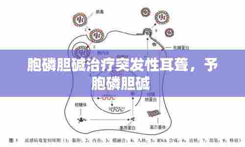 箭拔弩张 第6页