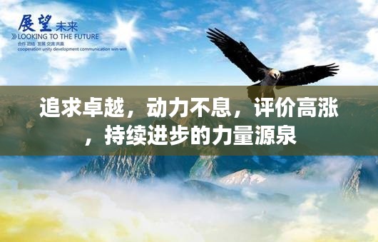 追求卓越,动力不息,评价高涨,持续进步的力量源泉