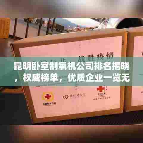 昆明卧室制氧机公司排名揭晓，权威榜单，优质企业一览无余