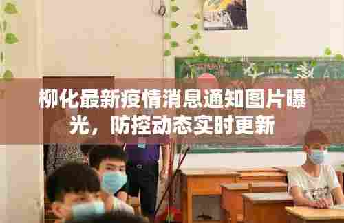 柳化最新疫情消息通知图片曝光，防控动态实时更新