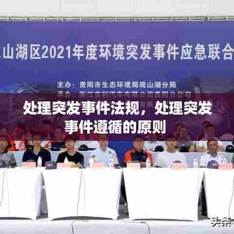 处理突发事件法规，处理突发事件遵循的原则 