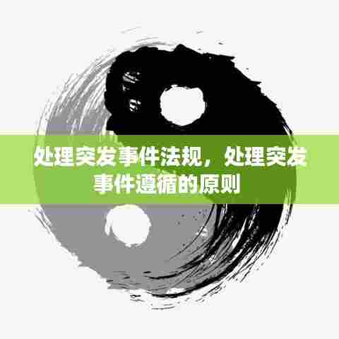 处理突发事件法规,处理突发事件遵循的原则