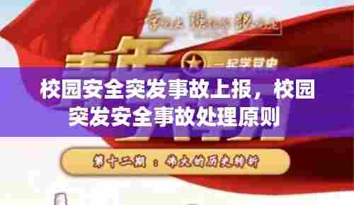 校园安全突发事故上报，校园突发安全事故处理原则 