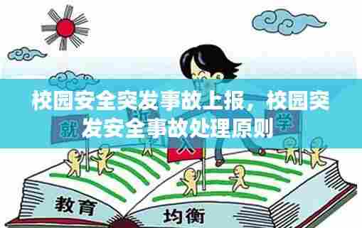 校园安全突发事故上报,校园突发安全事故处理原则