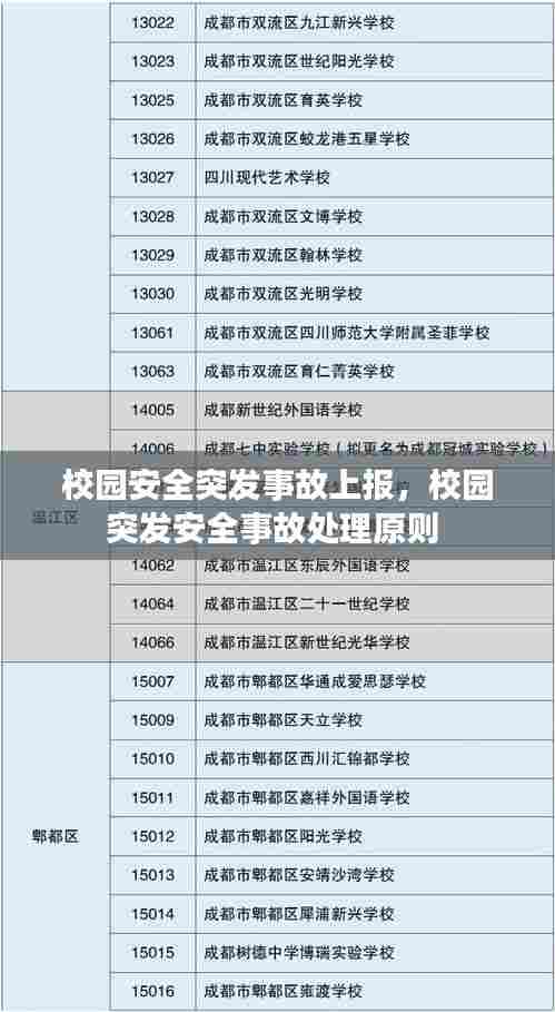 校园安全突发事故上报,校园突发安全事故处理原则