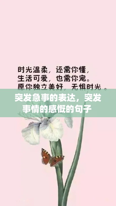突发急事的表达,突发事情的感慨的句子