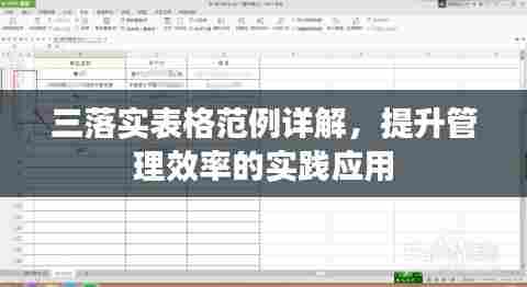 三落实表格范例详解，提升管理效率的实践应用