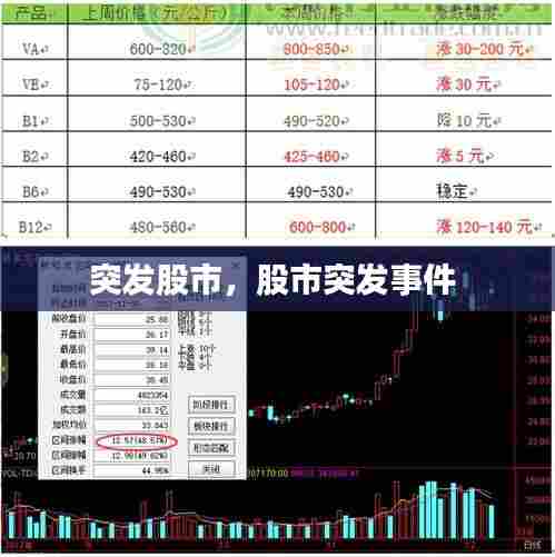 突发股市,股市突发事件