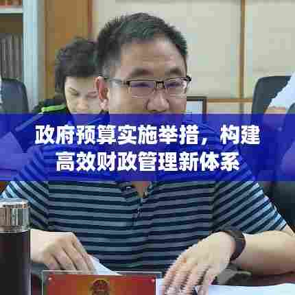 政府预算实施举措，构建高效财政管理新体系