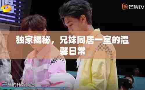 独家揭秘,兄妹同居一室的温馨日常