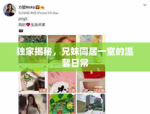 独家揭秘,兄妹同居一室的温馨日常