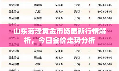山东菏泽黄金市场最新行情解析,今日金价走势分析